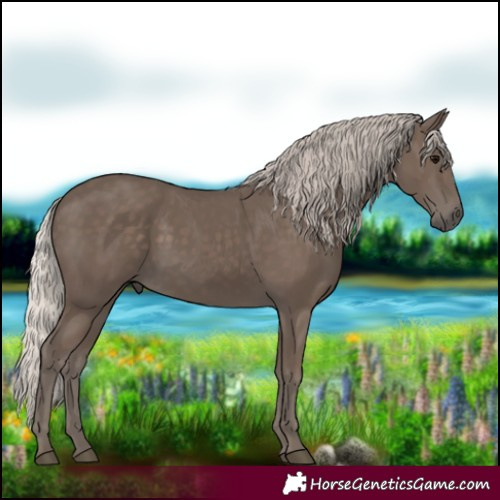 Horse Color:Silver Black