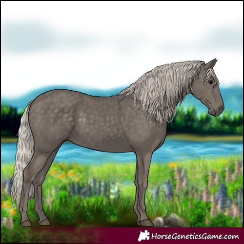 Horse Color:Silver Black 