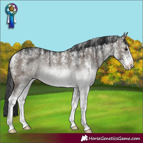 Horse Color:Powder White White Spotted Grullo Rabicano Brindle 