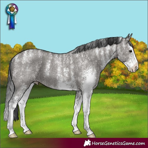 Horse Color:Powder White Platinum White Spotted Grullo Splash Appaloosa Rabicano 