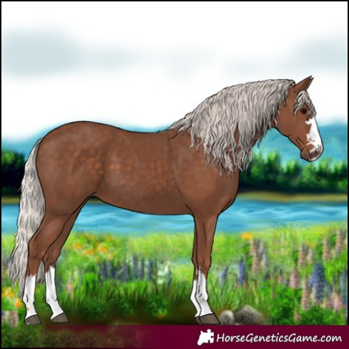 Horse Color:Silver Black