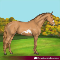 Horse Color:Chestnut Frame