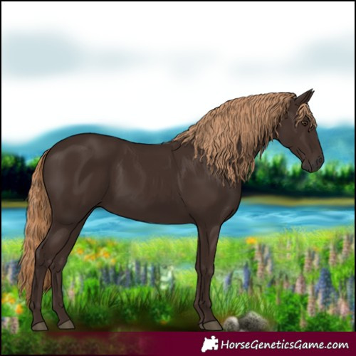 Horse Color:Liver Chestnut Rabicano 