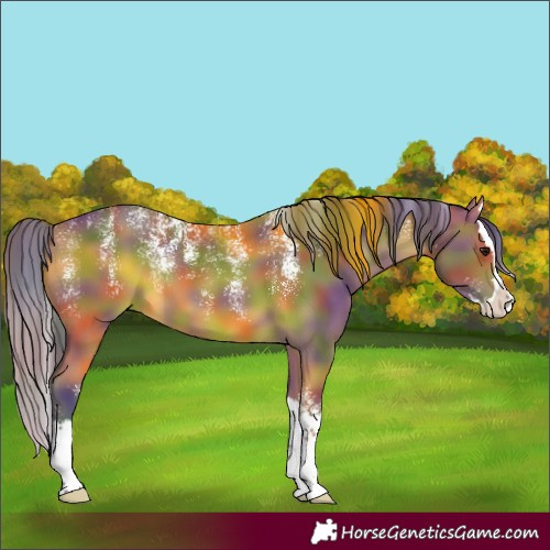 Horse Color:Powder White Nacre Bay Splash