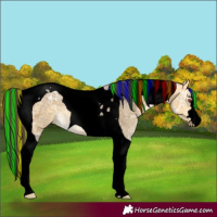 Horse Color:Void Painted Buckskin Ice Dun Tobiano 