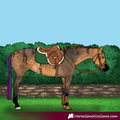 Horse Color:Powder White Void Painted Buckskin 