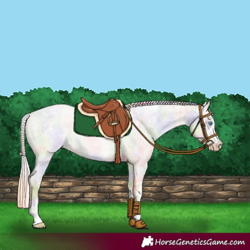 Horse Color:Powder White Nacre Palomino Roan Pearl Dun