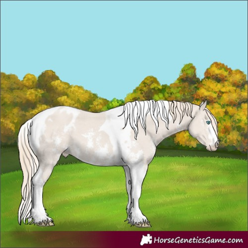 Horse Color:Smoky Creme Mushroom Sabino Tobiano Appaloosa