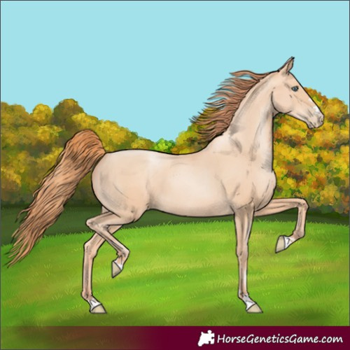 Horse Color:Amber Champagne Pearl 