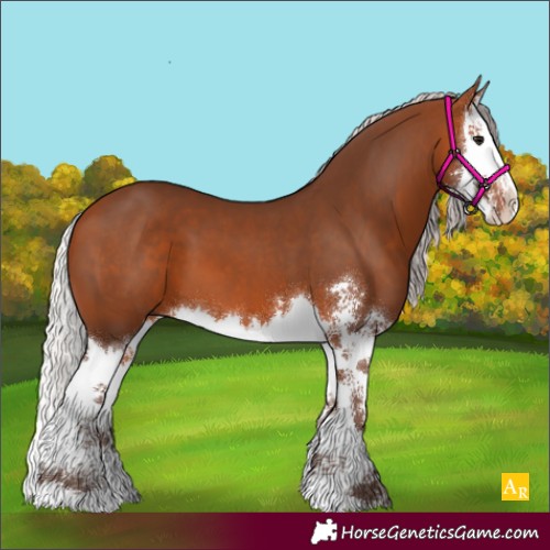 Horse Color:Silver Brown Sabino Splash 