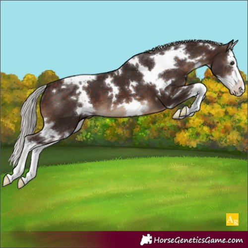 Horse Color:White Spotted Silver Brown Splash 