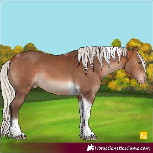 Horse Color:Silver Brown Tobiano Appaloosa 