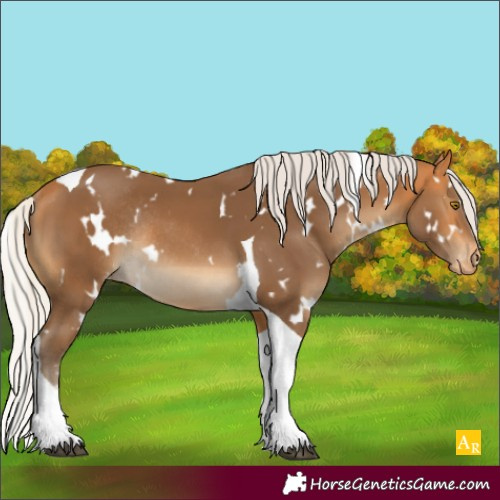 Horse Color:White Spotted Silver Buckskin Tobiano Varnish Rabicano 