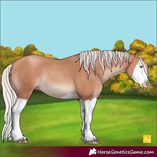 Horse Color:Silver Sable Champagne Splash Rabicano 