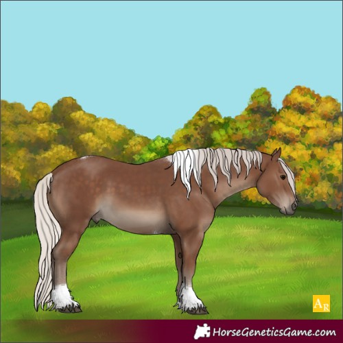 Horse Color:Silver Black Tobiano