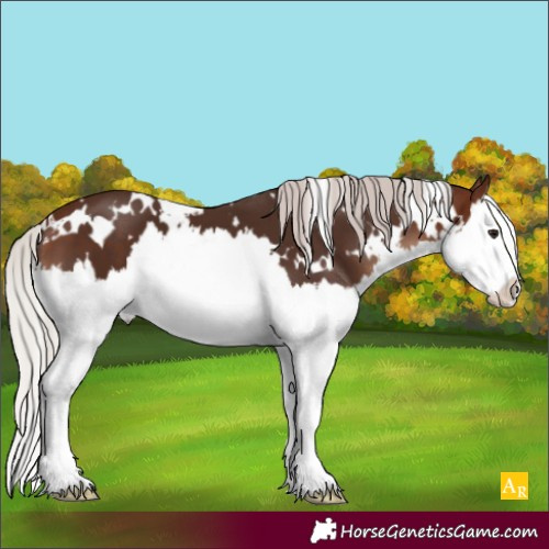 Horse Color:White Spotted Silver Brown Splash 