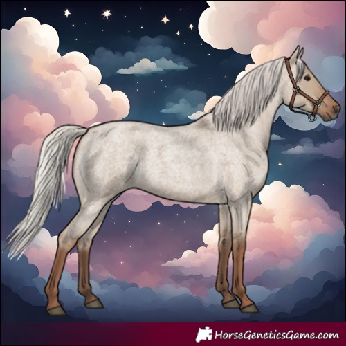 Horse Color:Silver Grullo Roan