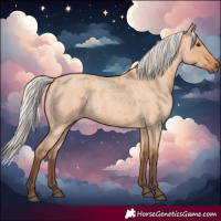 Horse Color:Silver Bay Roan Dun 