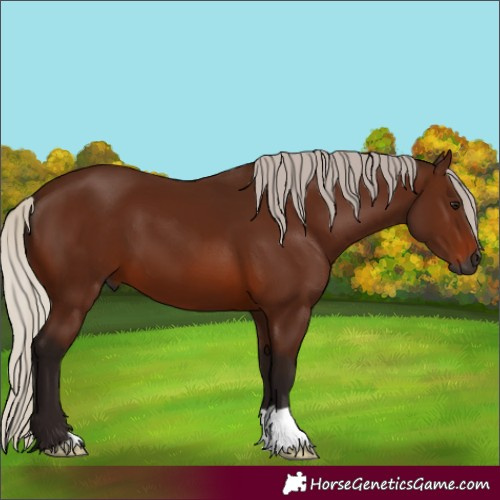 Horse Color:Gray Silver Bay
