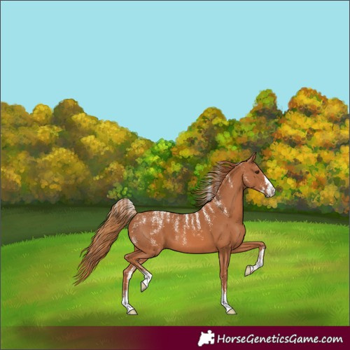 Horse Color:Powder White Chestnut 