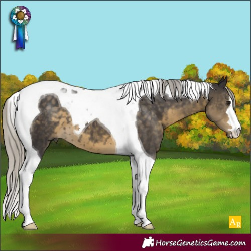 Horse Color:Silver Smoky Black Tobiano 
