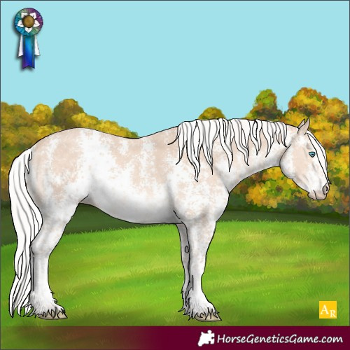 Horse Color:Silver Perlino Sabino