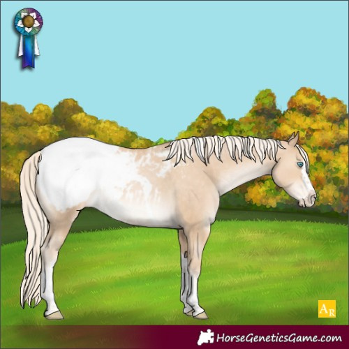 Horse Color:Powder White Palomino Pearl Splash Tobiano Appaloosa Rabicano 