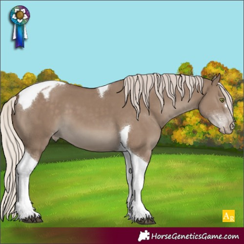 Horse Color:Silver Grullo Tobiano Appaloosa