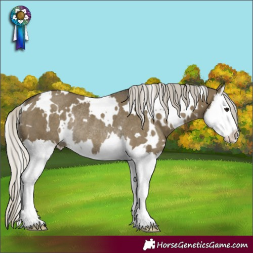Horse Color:White Spotted Silver Smoky Grullo Splash Rabicano 