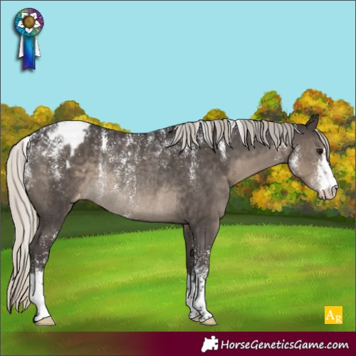 Horse Color:Powder White Silver Smoky Black Appaloosa Rabicano 