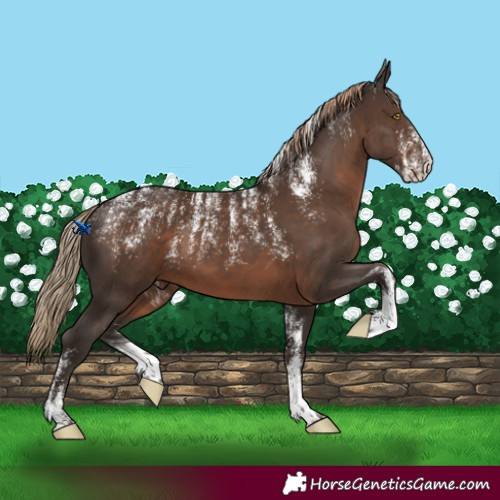 Horse Color:Powder White Liver Chestnut