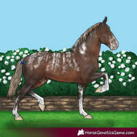 Horse Color:Powder White Liver Chestnut 