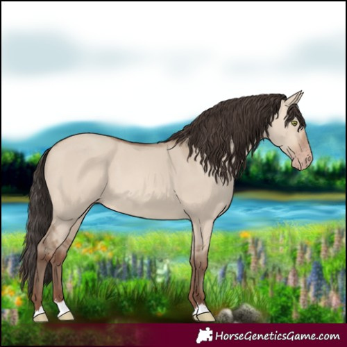 Horse Color:Sable Champagne Dun 