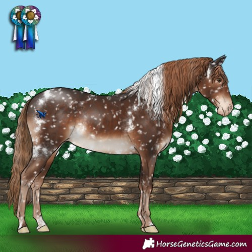 Horse Color:White Spotted Liver Chestnut Snowflake Varnish Rabicano 