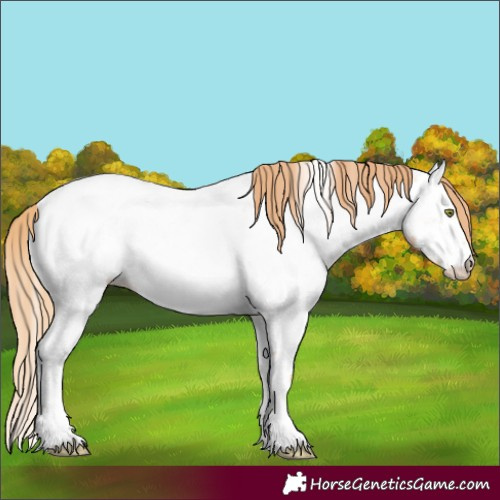 Horse Color:Gold Champagne Roan Near Fewspot