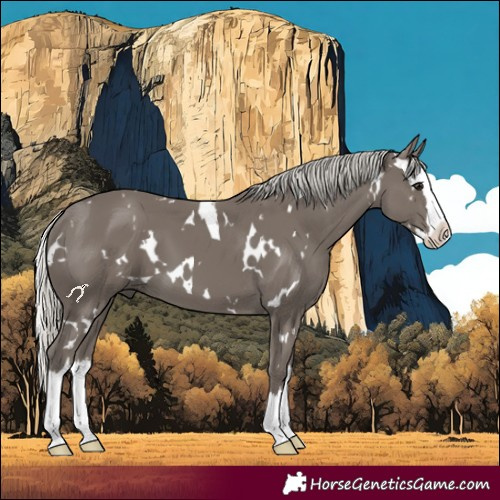 Horse Color:White Spotted Silver Smoky Black Splash 