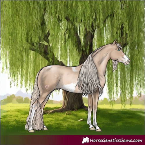Horse Color:Chocolate Palomino Pearl Tobiano Frame  and Chocolate Palomino Pearl Tobiano Frame 