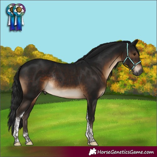 Horse Color:Gray Brown Tobiano Rabicano 