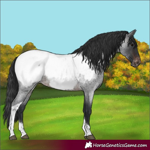 Horse Color:Brown Roan Tobiano Near Fewspot Rabicano