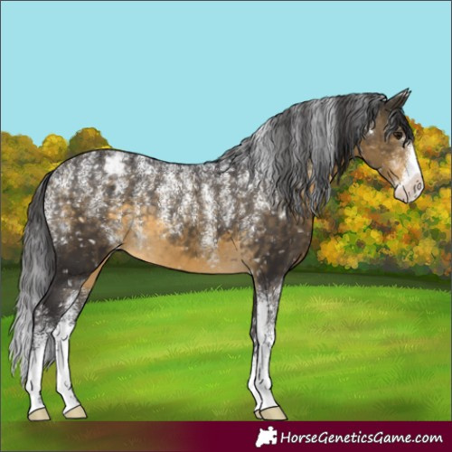 Horse Color:Powder White Buckskin Snowflake Varnish 