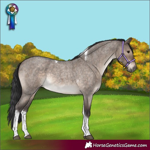 Horse Color:Brown Roan Dun Tobiano Rabicano 