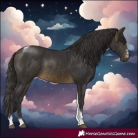 Horse Color:Buckskin Tobiano 
