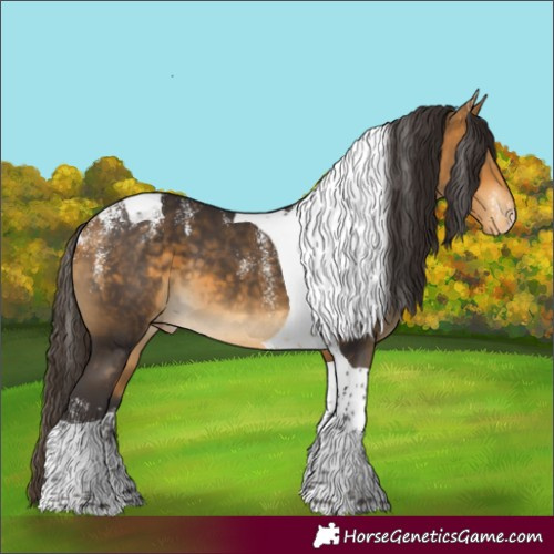 Horse Color:Powder White Buckskin Tobiano Appaloosa 