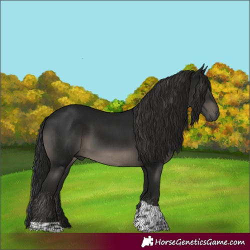 Horse Color:Gray Black Tobiano Rabicano 