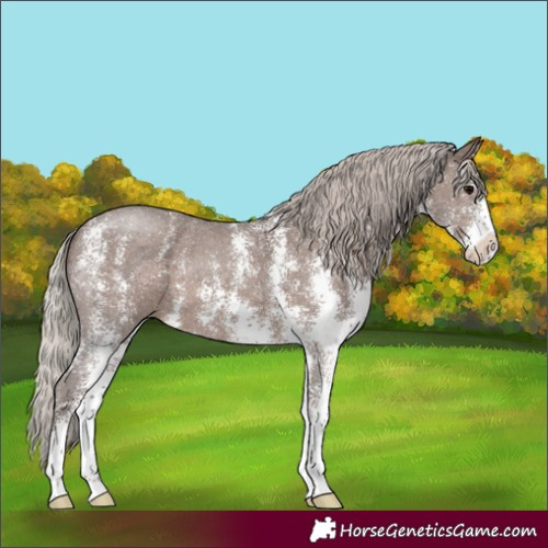 Horse Color:Silver Black Sabino
