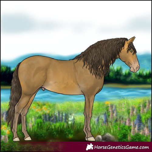 Horse Color:Sable Cream Champagne