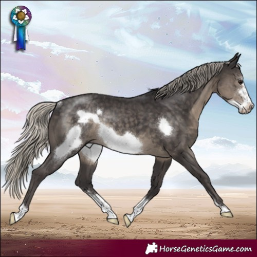 Horse Color:Silver Smoky Black Sabino Frame Rabicano