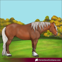 Horse Color:Silver Bay