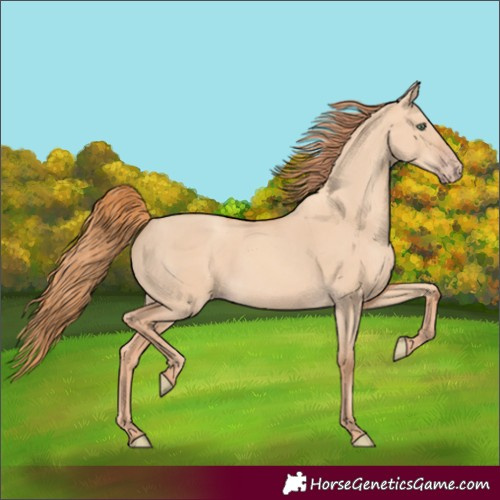 Horse Color:Gold Champagne Dun