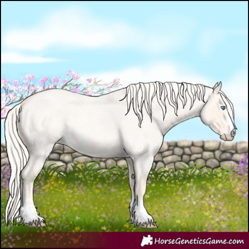 Horse Color:Cremello Roan Dun 